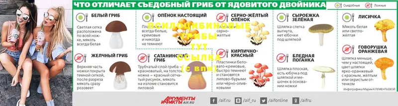 Псилоцибиновые грибы GOLDEN TEACHER  Гдов 